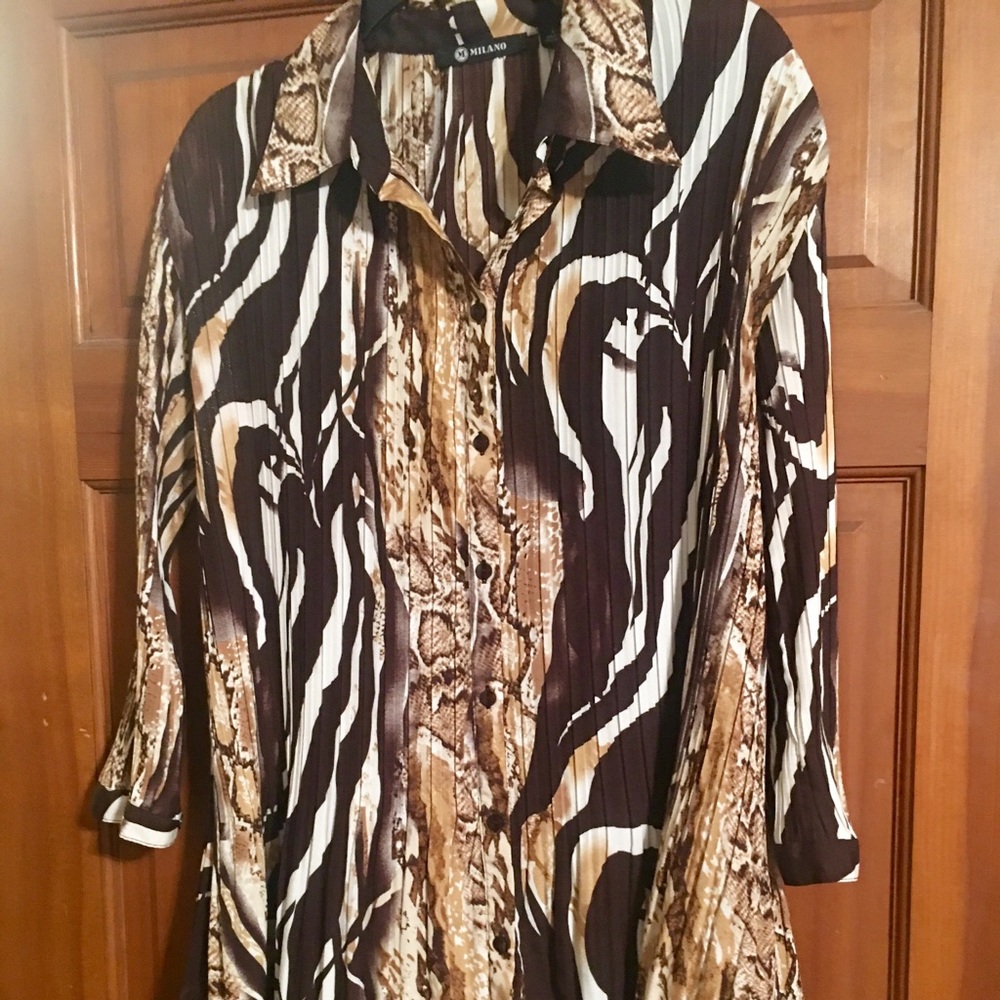 Dress /Long Blouse